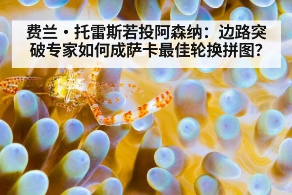 费兰·托雷斯若投阿森纳：边路突破专家如何成萨卡最佳轮换拼图？